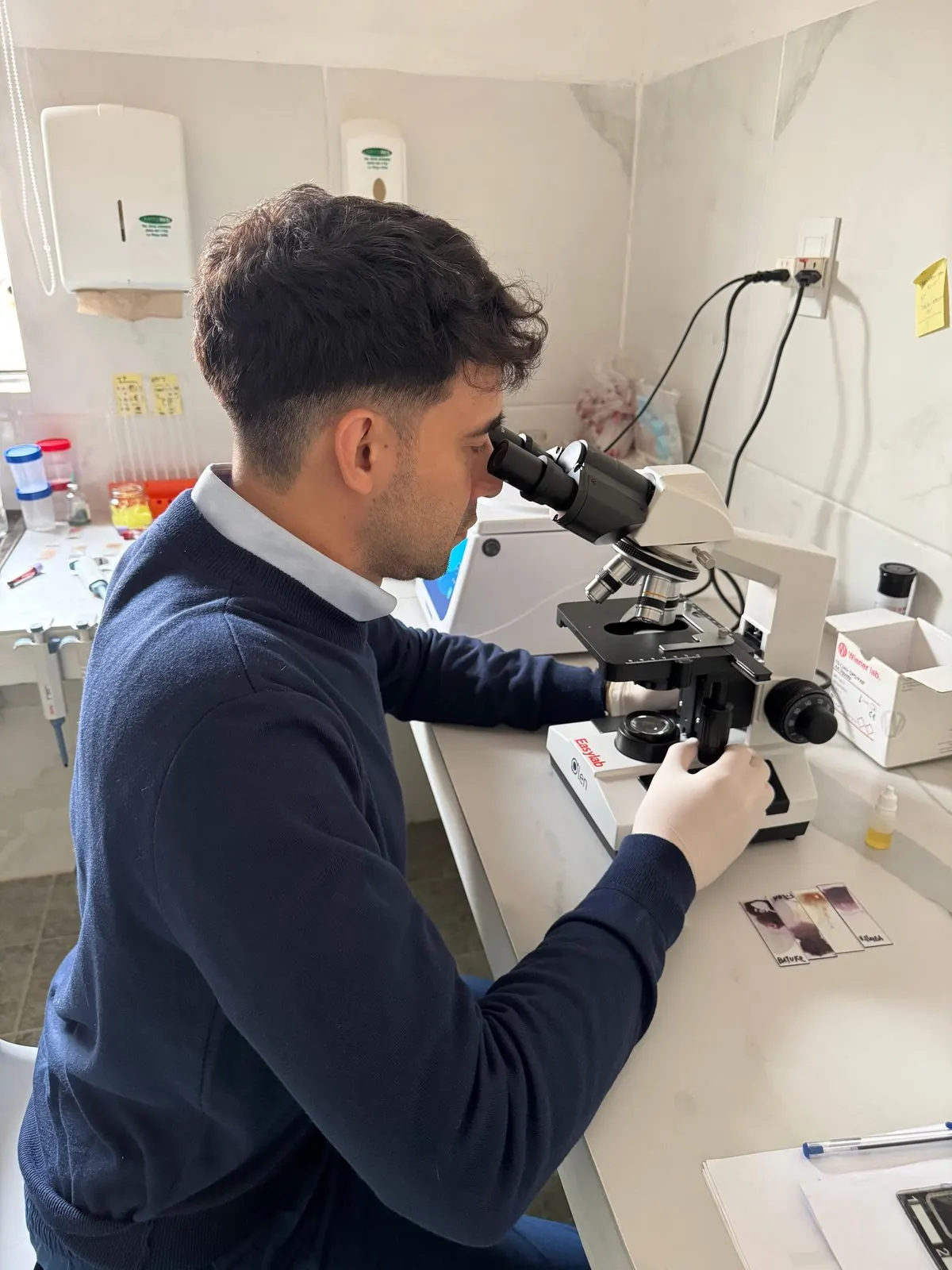 Bioquímico de AV Diagnóstico observando un extendido al microscopio